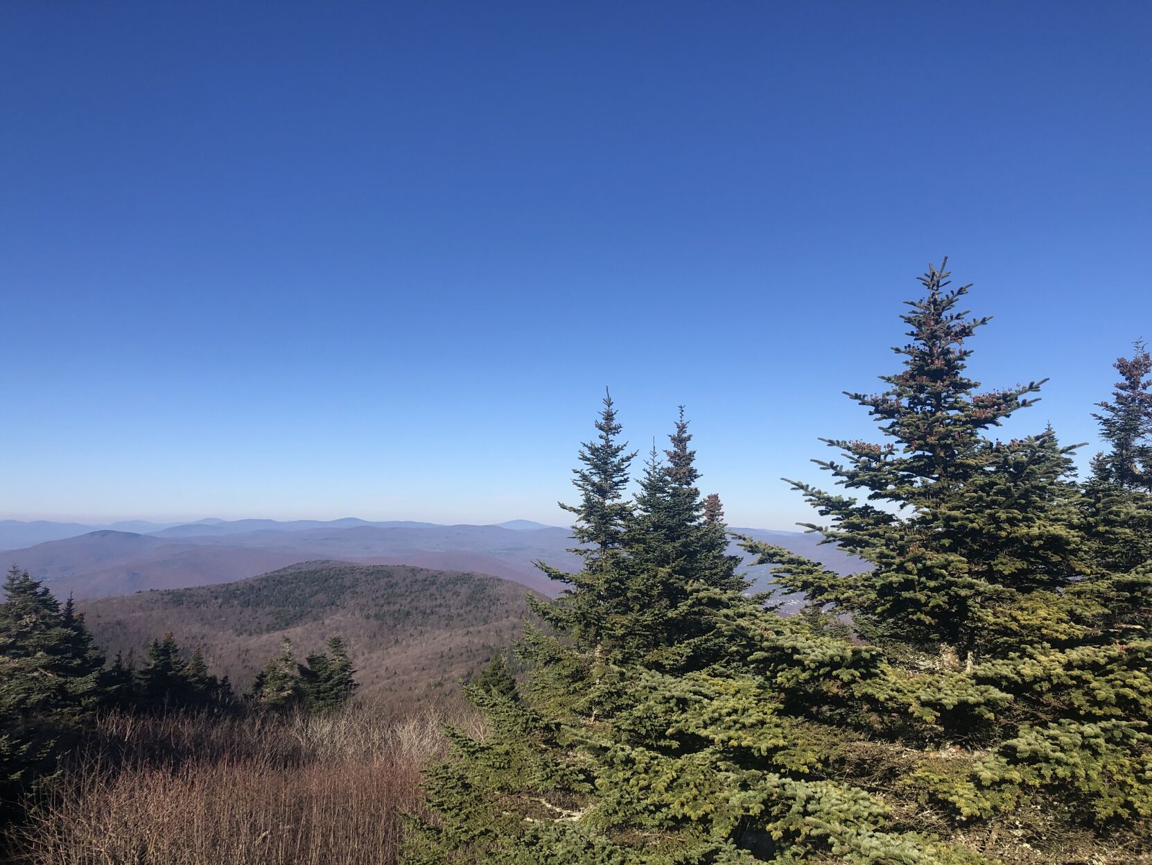 greylock